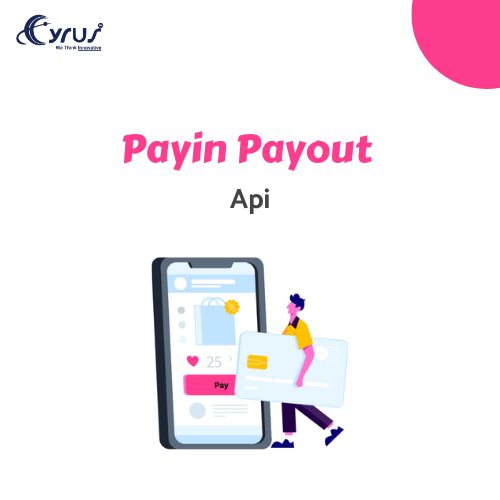 payin payout api